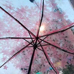 Sombrilla - Estilo Japones